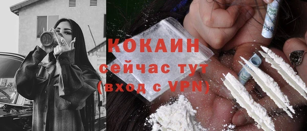 COCAINE Богородицк